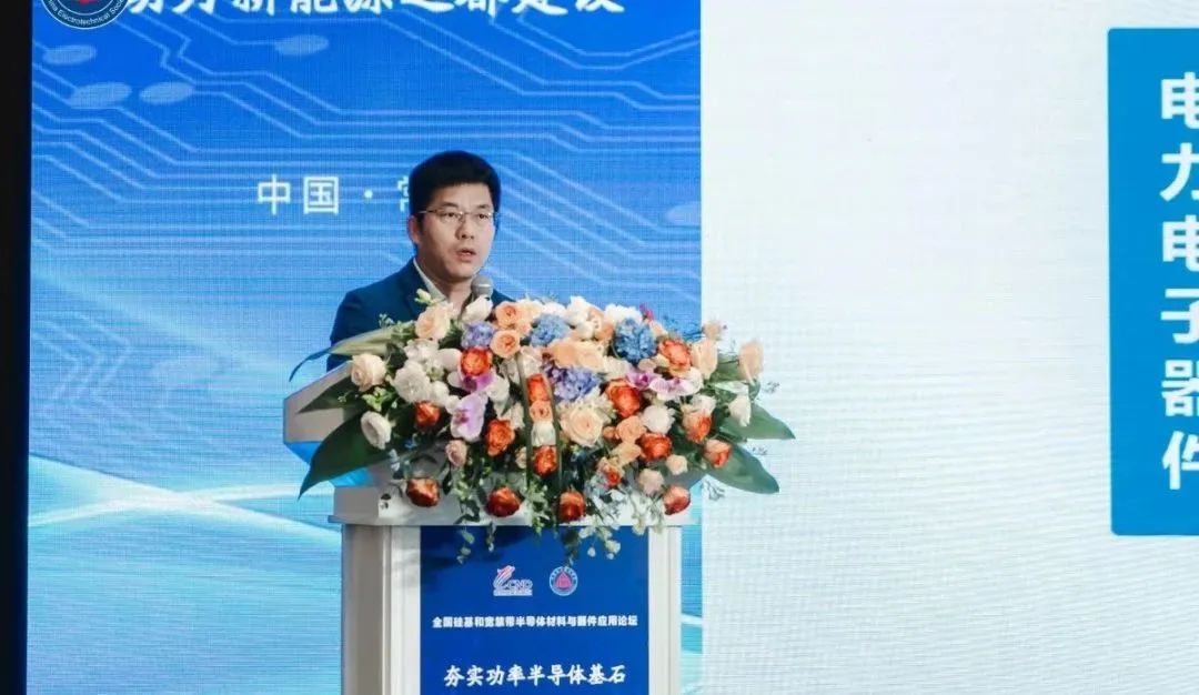 西安交通大學 電力設備電氣絕緣國家重點實驗室教授 王來利博士